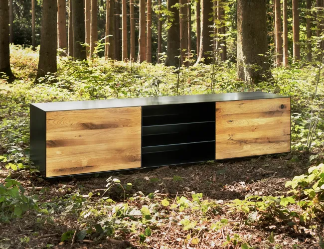 neuhof_schrank_motiv_wald